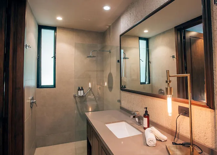 Luxurious Oasis Jacuzzi With Art Gallery And Pool